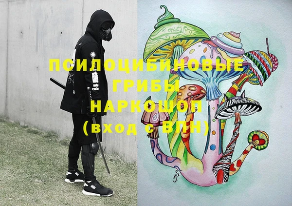ГАЛЛЮЦИНОГЕННЫЕ ГРИБЫ Киреевск