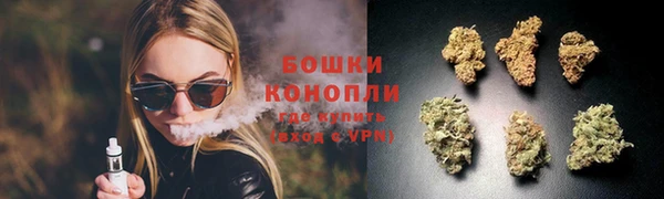 ГАЛЛЮЦИНОГЕННЫЕ ГРИБЫ Киреевск