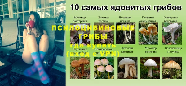 ГАЛЛЮЦИНОГЕННЫЕ ГРИБЫ Киреевск
